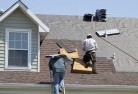 Jacksons Flatskylights-2.jpg; ?>